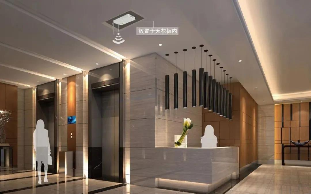 1629529055220.jpg 01.jpg